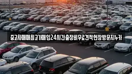 인천 남동구 도림동 중고차매매 전문 중고차매매최고가매입24시간출장비무료견적현장방문지누카