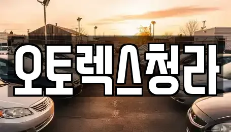 인천 동구 만석동 중고차매매 전문 오토렉스청라