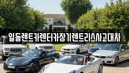 인천 서구 가좌동 장기렌트카 전문 일등렌트카렌터카장기렌트리스사고대차
