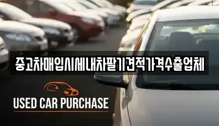 인천 서구 가좌동 중고차매입 전문 중고차매입시세내차팔기견적가격수출업체