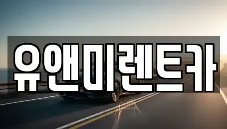인천광역시 계양구 동양동 장기렌트카 전문 유앤미렌트카