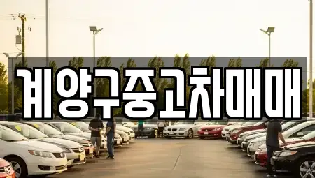 인천광역시 계양구 동양동 중고차 전문 계양구중고차매매