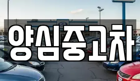인천광역시 계양구 동양동 중고차매매 전문 양심중고차