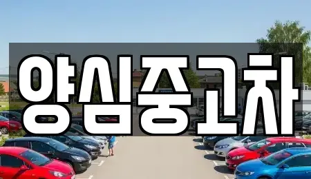 인천광역시 남동구 고잔동 중고차 전문 양심중고차