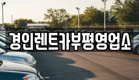 인천광역시 미추홀구 학익동 렌트카 전문 경인렌트카부평영업소