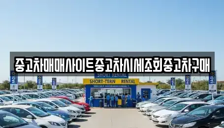 인천광역시 미추홀구 학익동 중고차매매 전문 중고차매매사이트중고차시세조회중고차구매