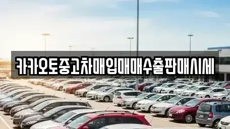 인천광역시 중구 신흥동2가 중고차매입 전문 카카오토중고차매입매매수출판매시세