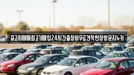 인천광역시 중구 운북동 중고차 전문 중고차매매최고가매입24시간출장비무료견적현장방문지누카
