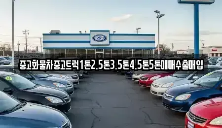 인천광역시 중구 운북동 중고차매입 전문 중고화물차중고트럭1톤2.5톤3.5톤4.5톤5톤매매수출매입