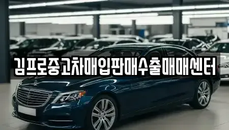 전남 여수시 남산동 중고차매입 전문 김프로중고차매입판매수출매매센터