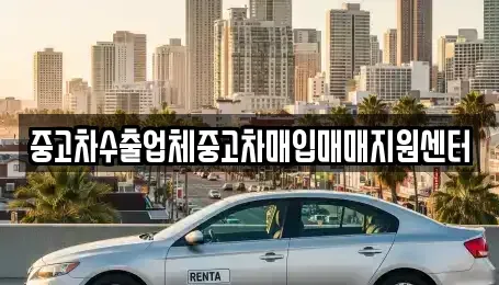 전라남도 나주시 대호동 중고차매입 전문 중고차수출업체중고차매입매매지원센터