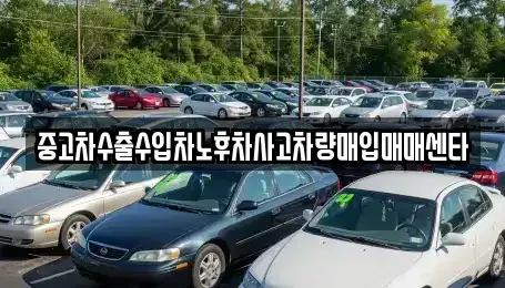 전라남도 장흥군 장흥읍 중고차매입 전문 중고차수출수입차노후차사고차량매입매매센타