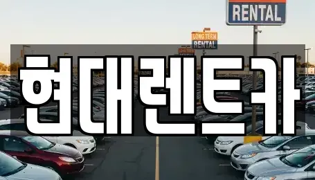 전북특별자치도 군산시 사정동 렌트카 전문 현대렌트카