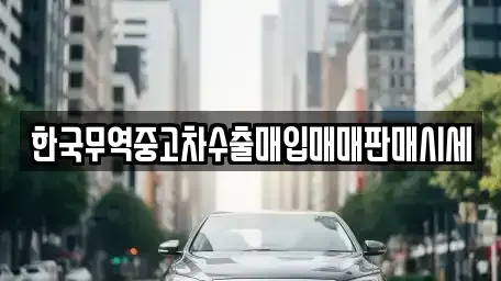 전북특별자치도 군산시 사정동 중고차매입 전문 한국무역중고차수출매입매매판매시세