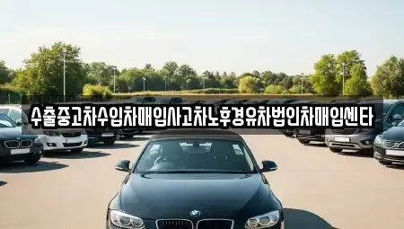 전북특별자치도 김제시 용동 중고차매매,단기렌트카,중고차매입,장기렌트카,중고차,렌트카