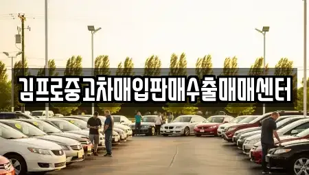 전북특별자치도 김제시 용동 중고차매입 전문 김프로중고차매입판매수출매매센터