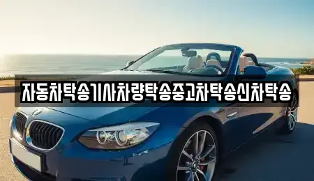전북특별자치도 전주시 덕진구 산정동 중고차 전문 자동차탁송기사차량탁송중고차탁송신차탁송