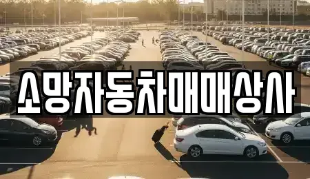 전북특별자치도 전주시 완산구 용복동 중고차 전문 소망자동차매매상사