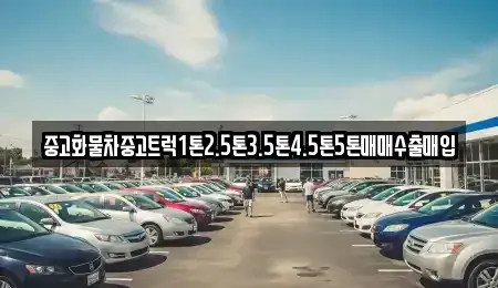 전북특별자치도 정읍시 과교동 중고차매입 전문 중고화물차중고트럭1톤2.5톤3.5톤4.5톤5톤매매수출매입