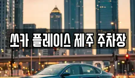 제주특별자치도 서귀포시 성산읍 렌트카 전문 쏘카 플레이스 제주 주차장
