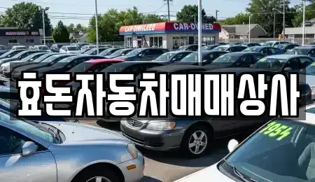 제주특별자치도 서귀포시 토평동 중고차 전문 효돈자동차매매상사
