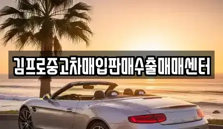 제주특별자치도 서귀포시 토평동 중고차매입 전문 김프로중고차매입판매수출매매센터