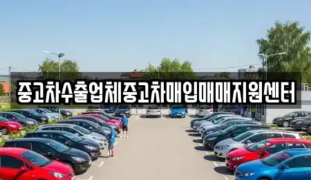 제주특별자치도 서귀포시 토평동 중고차매입 전문 중고차수출업체중고차매입매매지원센터