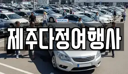 제주특별자치도 제주시 이도일동 렌트카 전문 제주다정여행사