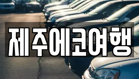 제주특별자치도 제주시 이도일동 렌트카 전문 제주에코여행