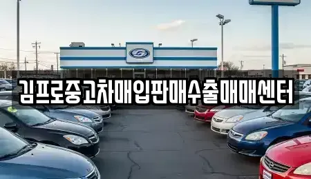 제주특별자치도 제주시 이도일동 중고차 전문 김프로중고차매입판매수출매매센터