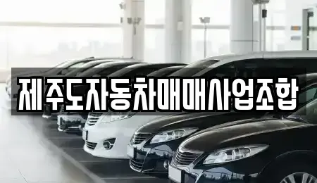 제주특별자치도 제주시 이도일동 중고차 전문 제주도자동차매매사업조합