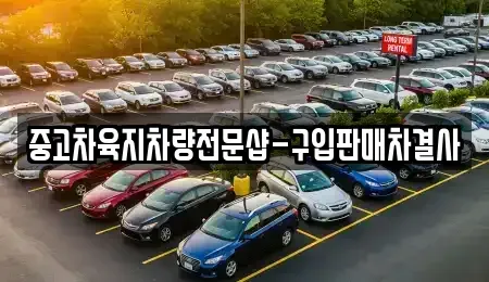 제주특별자치도 제주시 이도일동 중고차 전문 중고차육지차량전문샵-구입판매차결사