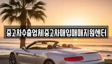 제주특별자치도 제주시 이도일동 중고차매입 전문 중고차수출업체중고차매입매매지원센터