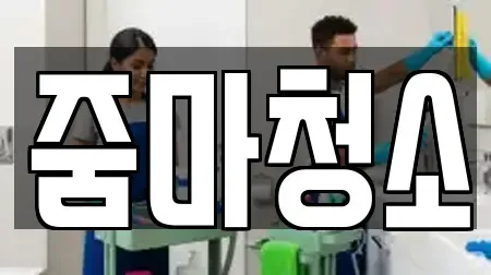 줌마청소