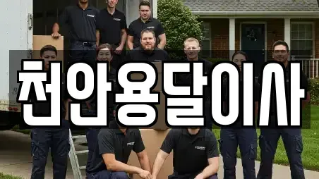 천안용달이사