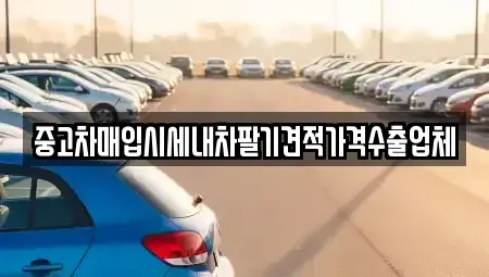 충남 논산시 광석면 중고차매입 전문 중고차매입시세내차팔기견적가격수출업체