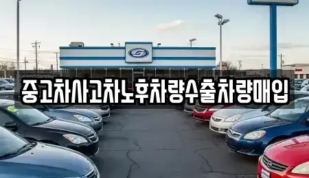 충남 논산시 내동 중고차 전문 중고차사고차노후차량수출차량매입