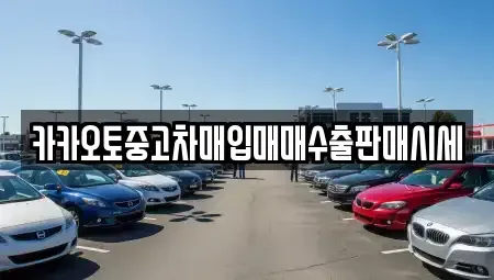 충남 아산시 염치읍 중고차매입 전문 카카오토중고차매입매매수출판매시세