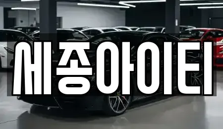 충남 천안시 동남구 사직동 중고차 전문 세종아이티
