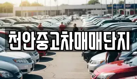 충남 천안시 동남구 사직동 중고차 전문 천안중고차매매단지