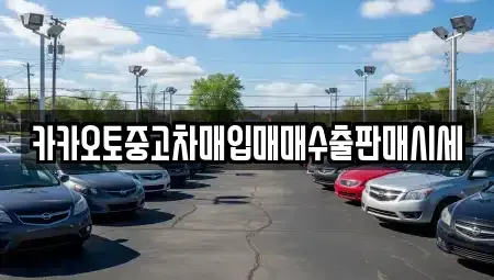 충남 천안시 동남구 사직동 중고차매입 전문 카카오토중고차매입매매수출판매시세