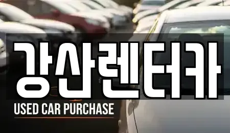 충남 천안시 서북구 두정동 단기렌트카 전문 강산렌터카