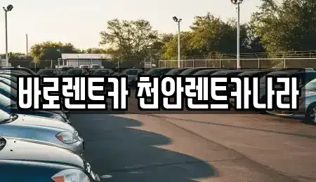 충남 천안시 서북구 두정동 렌트카 전문 바로렌트카 천안렌트카나라