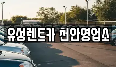 충남 천안시 서북구 두정동 렌트카 전문 유성렌트카 천안영업소