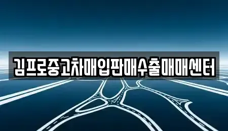 충남 천안시 서북구 두정동 중고차 전문 김프로중고차매입판매수출매매센터