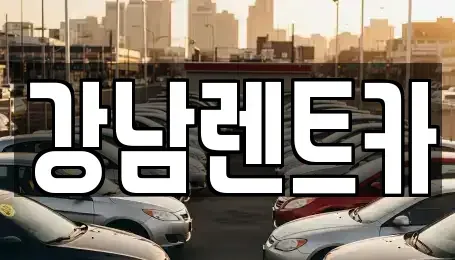 충북 옥천군 군서면 렌트카 전문 강남렌트카