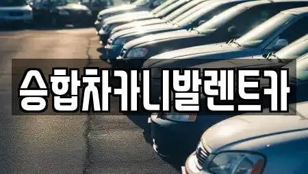 충북 옥천군 군서면 렌트카 전문 승합차카니발렌트카