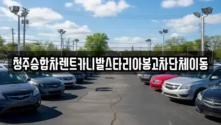 충북 청주시 상당구 남주동 렌트카 전문 청주승합차렌트카니발스타리아봉고차단체이동