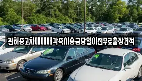 충북 청주시 상당구 남주동 중고차 전문 관허중고차매매매각즉시송금당일이전무료출장견적