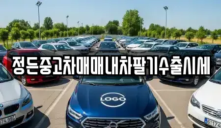 충북 청주시 상당구 남주동 중고차 전문 정든중고차매매내차팔기수출시세